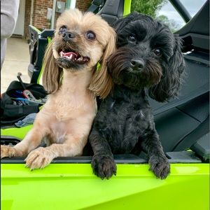 Meet your Posher, Kelly